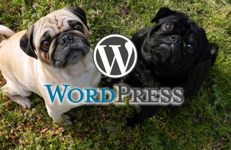 Capa Criando Sites em Wordpress com Pugs